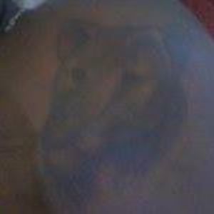 Meet your Posher, Samuel